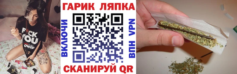 дарнет шоп  Звенигород  ГАШ Premium 