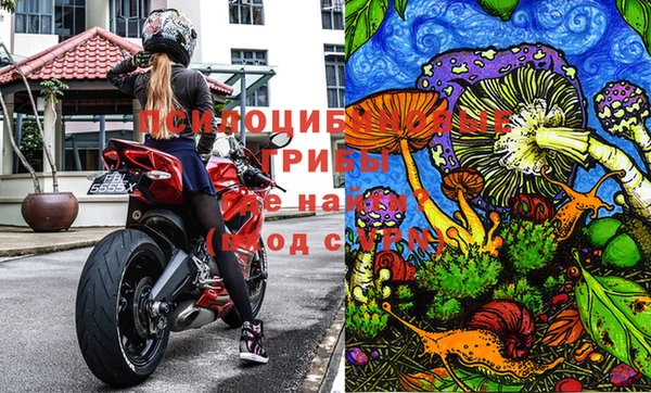 не бодяженный Дмитровск