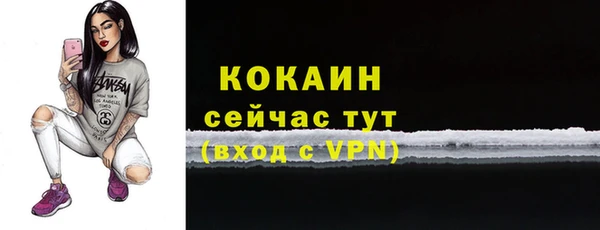 тгк Дмитров