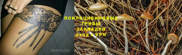 не бодяженный Дмитровск