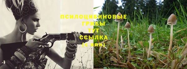не бодяженный Дмитровск