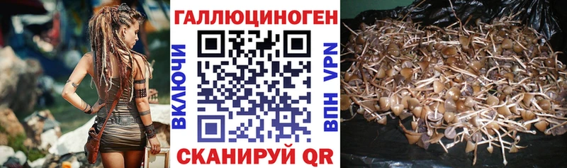 даркнет клад  Звенигород  Псилоцибиновые грибы Cubensis  наркота 